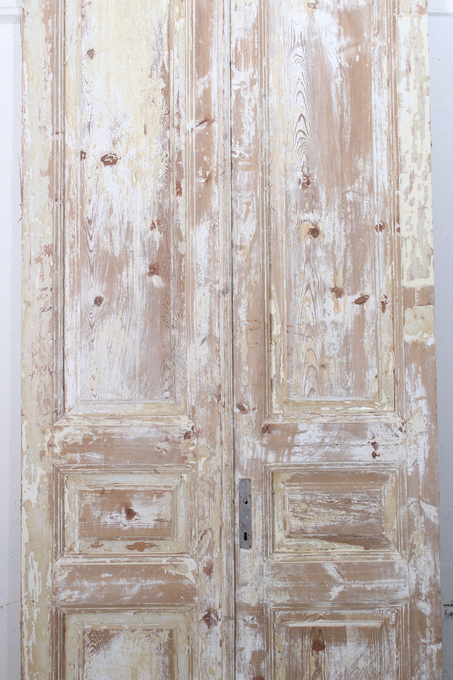 VINTAGE DBL FRENCH DOOR L211