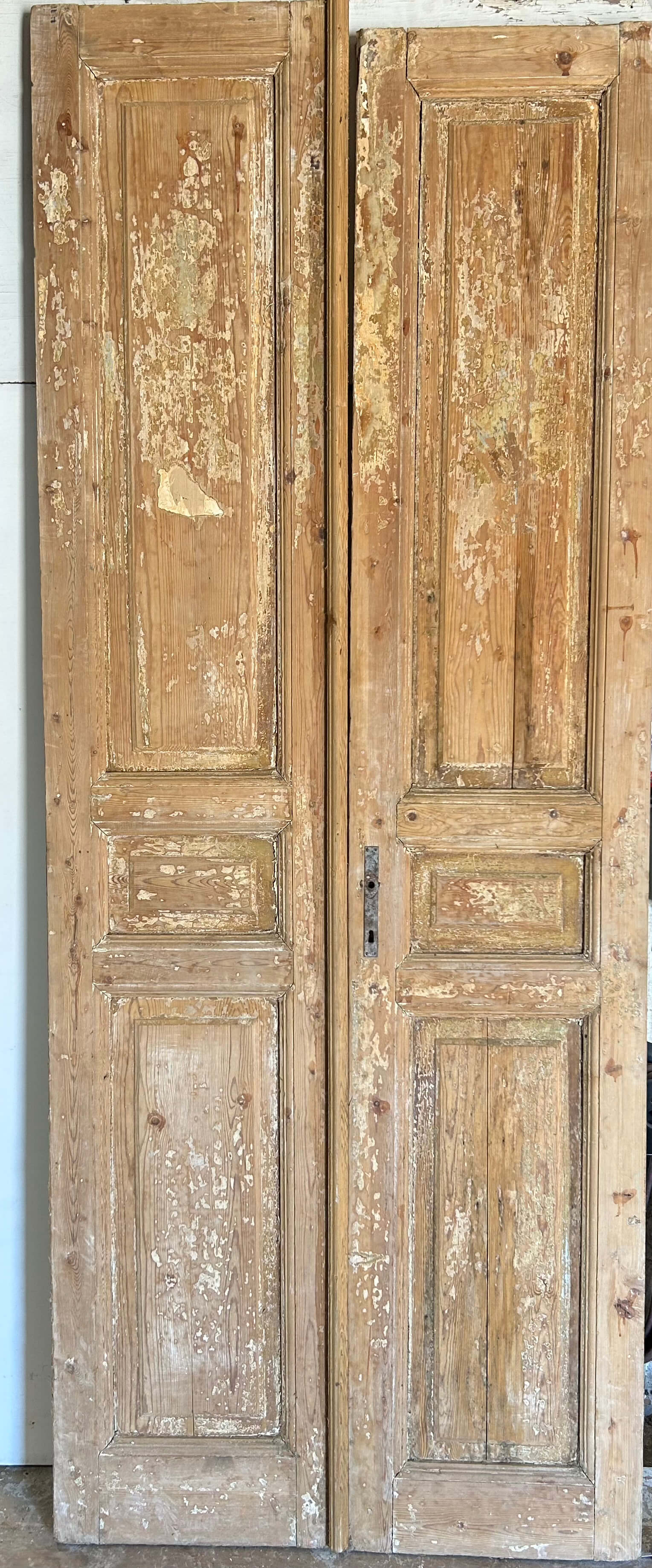 VINTAGE DBL FRENCH DOOR L151