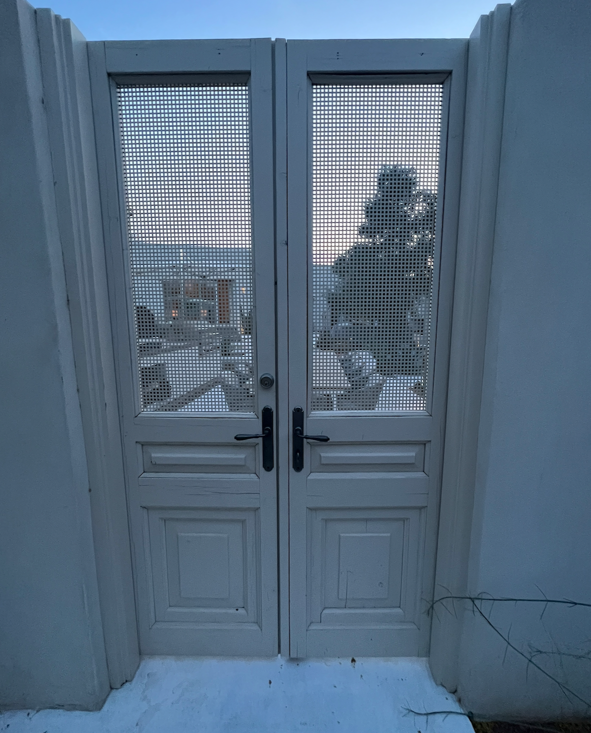 VINTAGE DBL FRENCH  DOOR L082