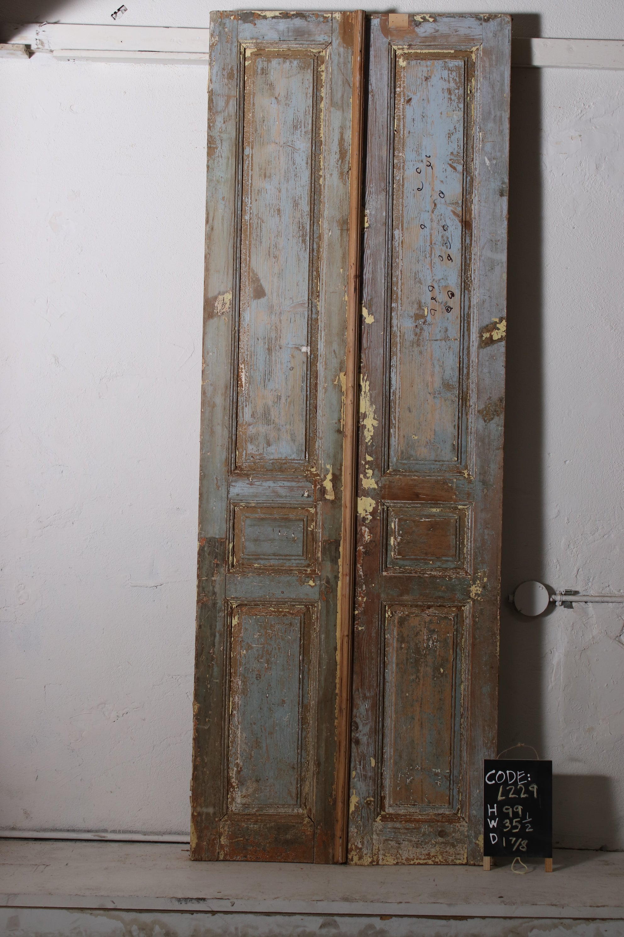 VINTAGE DBL FRENCH  DOOR L229