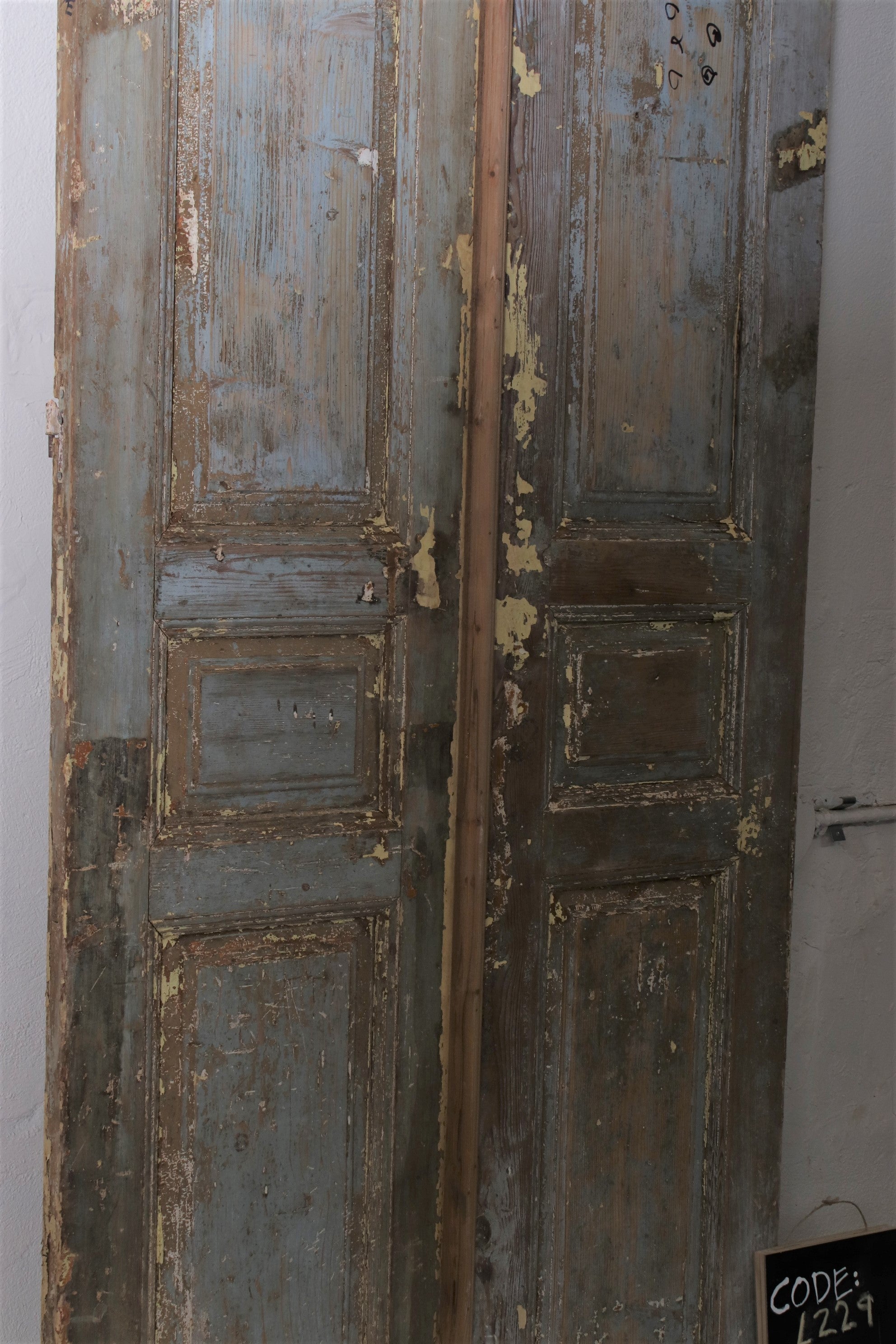 VINTAGE DBL FRENCH  DOOR L229