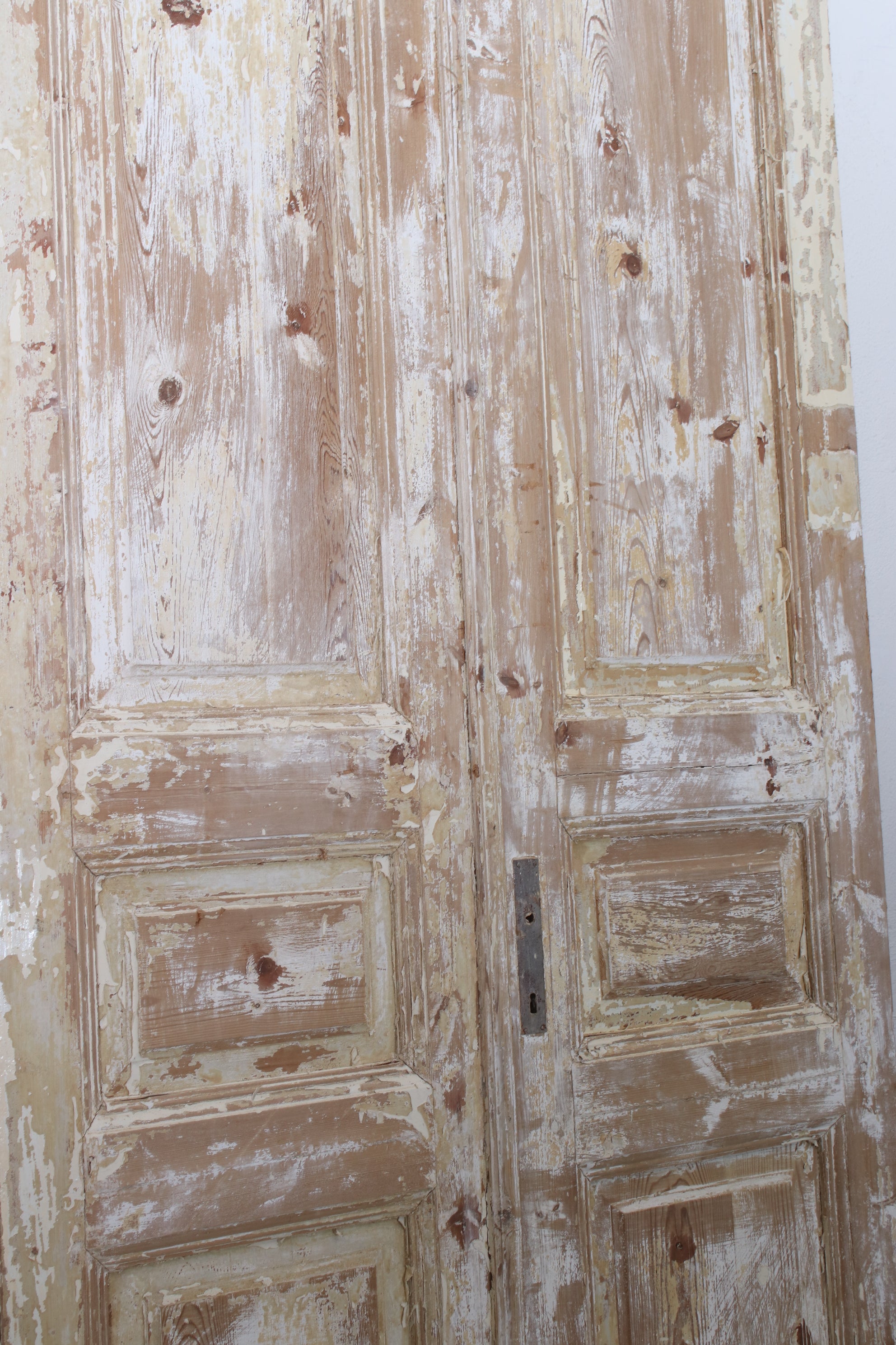 VINTAGE DBL FRENCH  DOOR L211