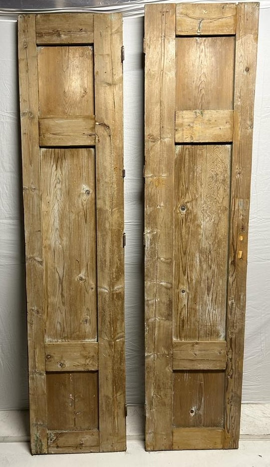 VINTAGE DBL FRENCH  DOOR L082