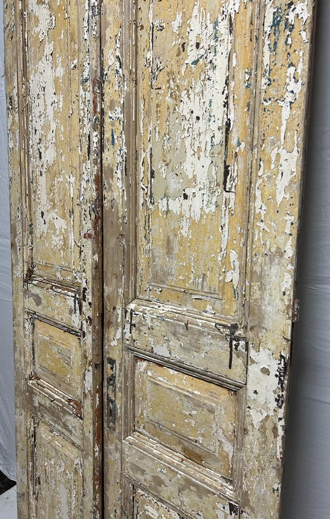 VINTAGE DBL FRENCH  DOOR L193