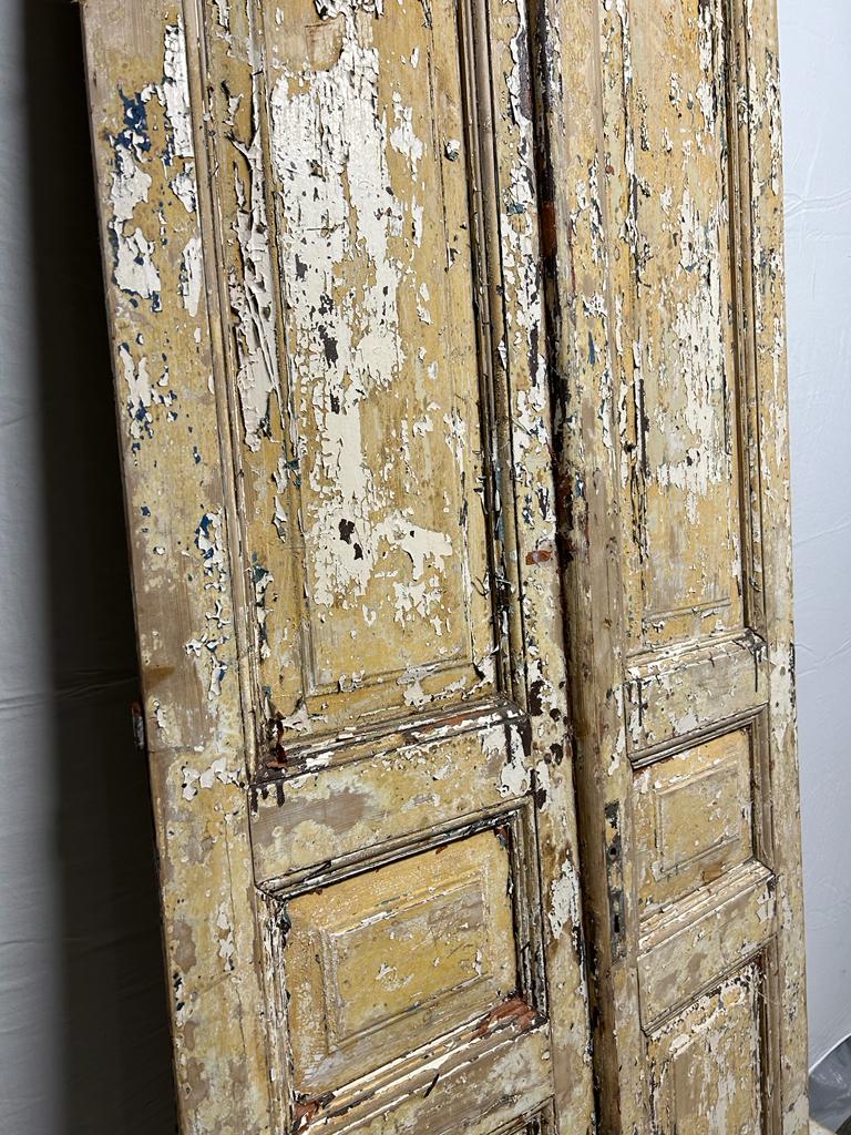 VINTAGE DBL FRENCH  DOOR L193