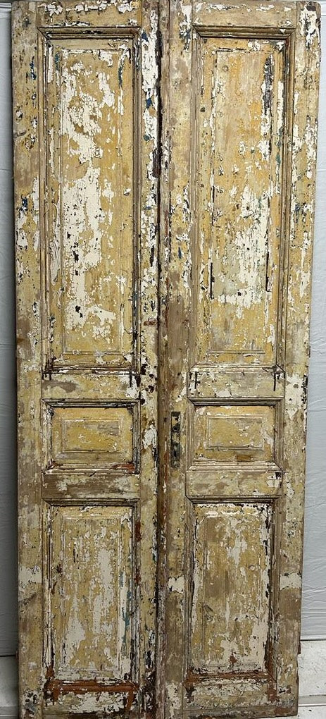 VINTAGE DBL FRENCH  DOOR L193