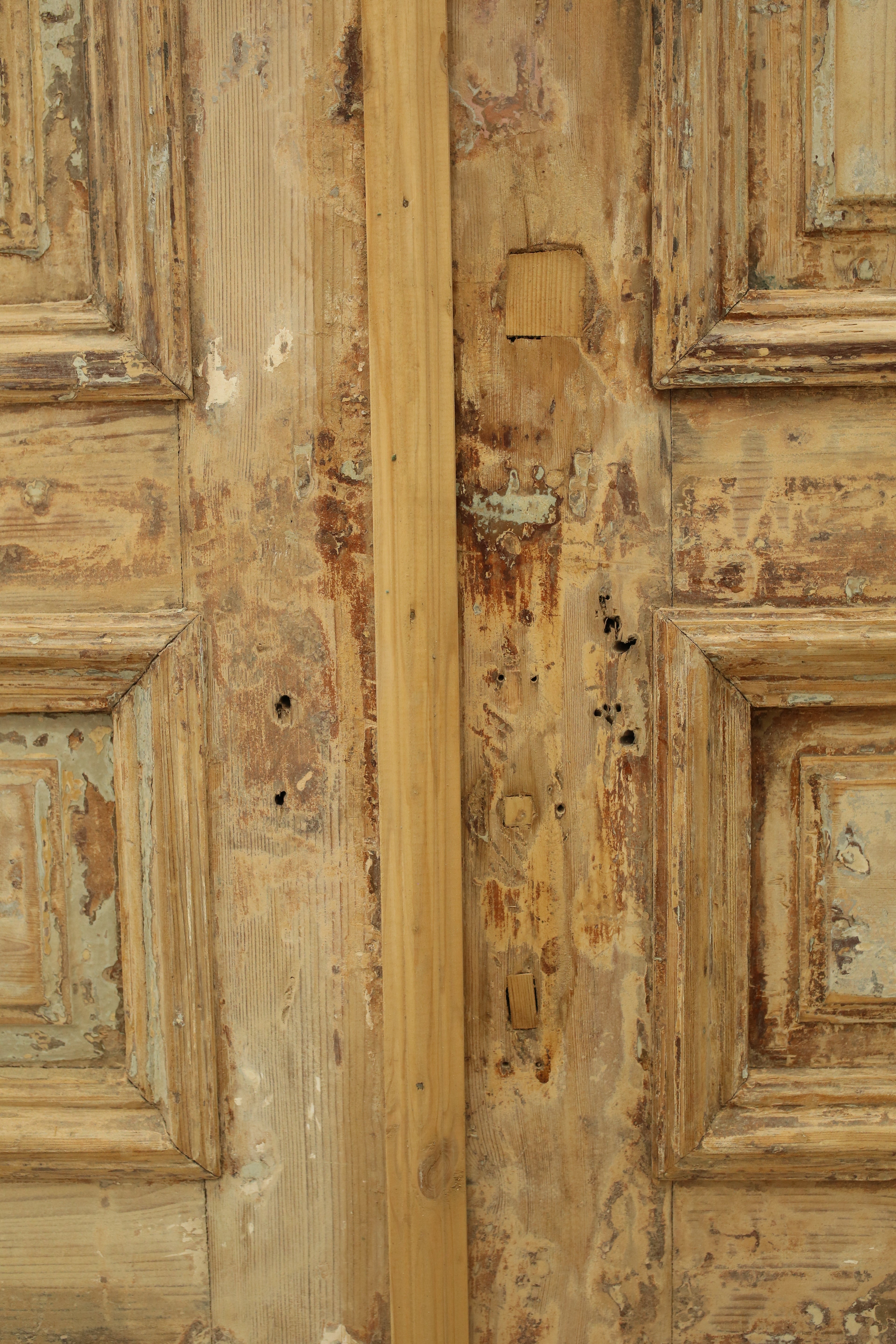 VINTAGE DBL FRENCH DOOR A491