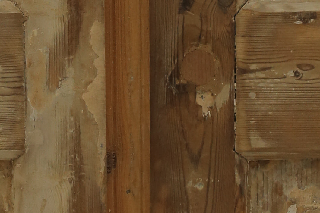 VINTAGE DBL FRENCH METAL DOOR A682