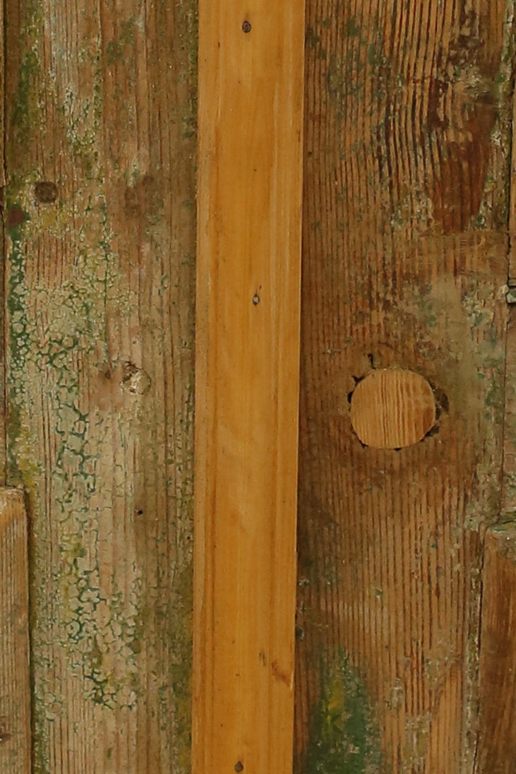 VINTAGE DBL FRENCH METAL DOOR A2