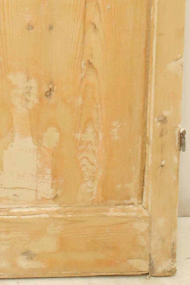 VINTAGE DBL FRENCH GLASS DOOR A317